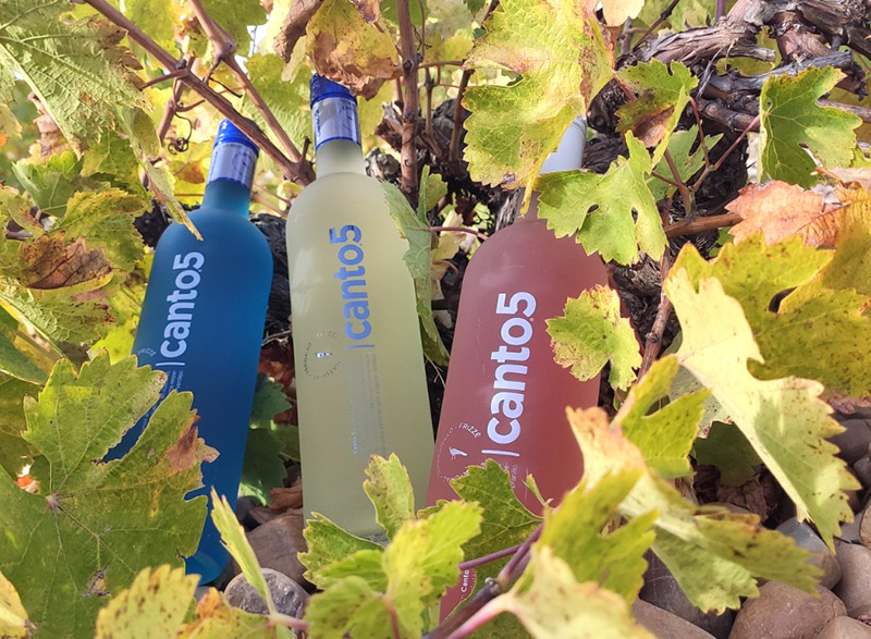 Vino frizzante, una opción más que interesante