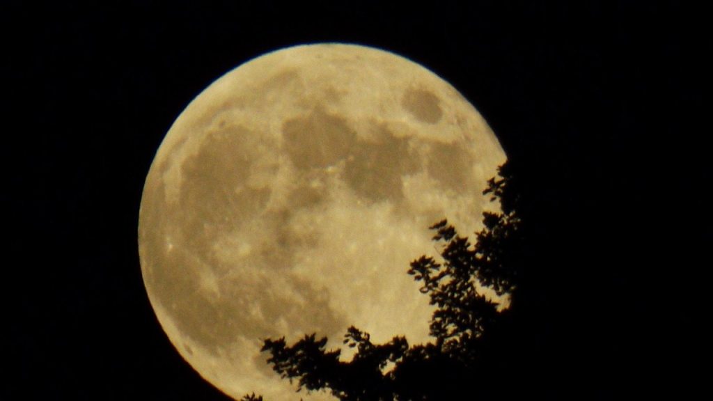 La vendimia nocturna: ventajas frente al cambio climático