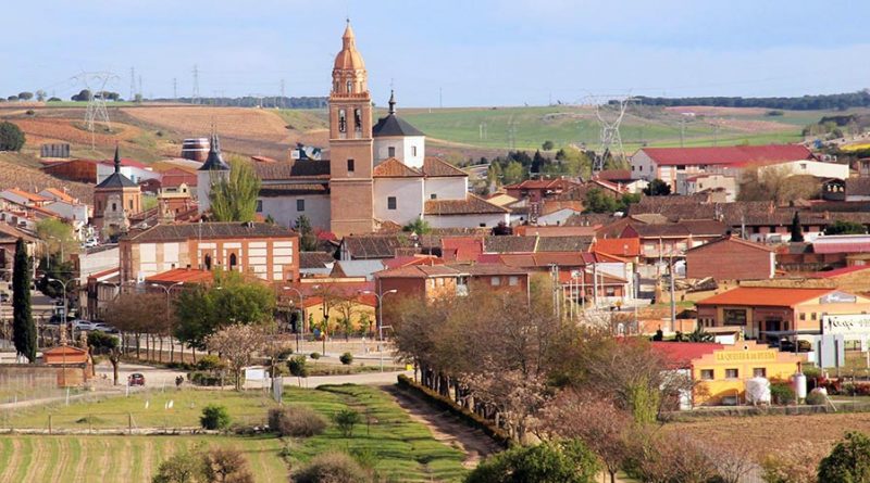 Explorando la Denominación de Origen Rueda: tesoros vinícolas