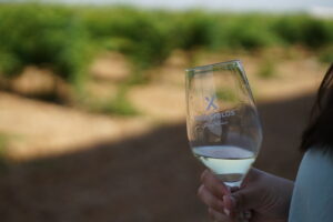 copa de vino blanco con viñedo de fondo