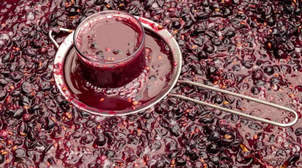 vino en el proceso de fermentando