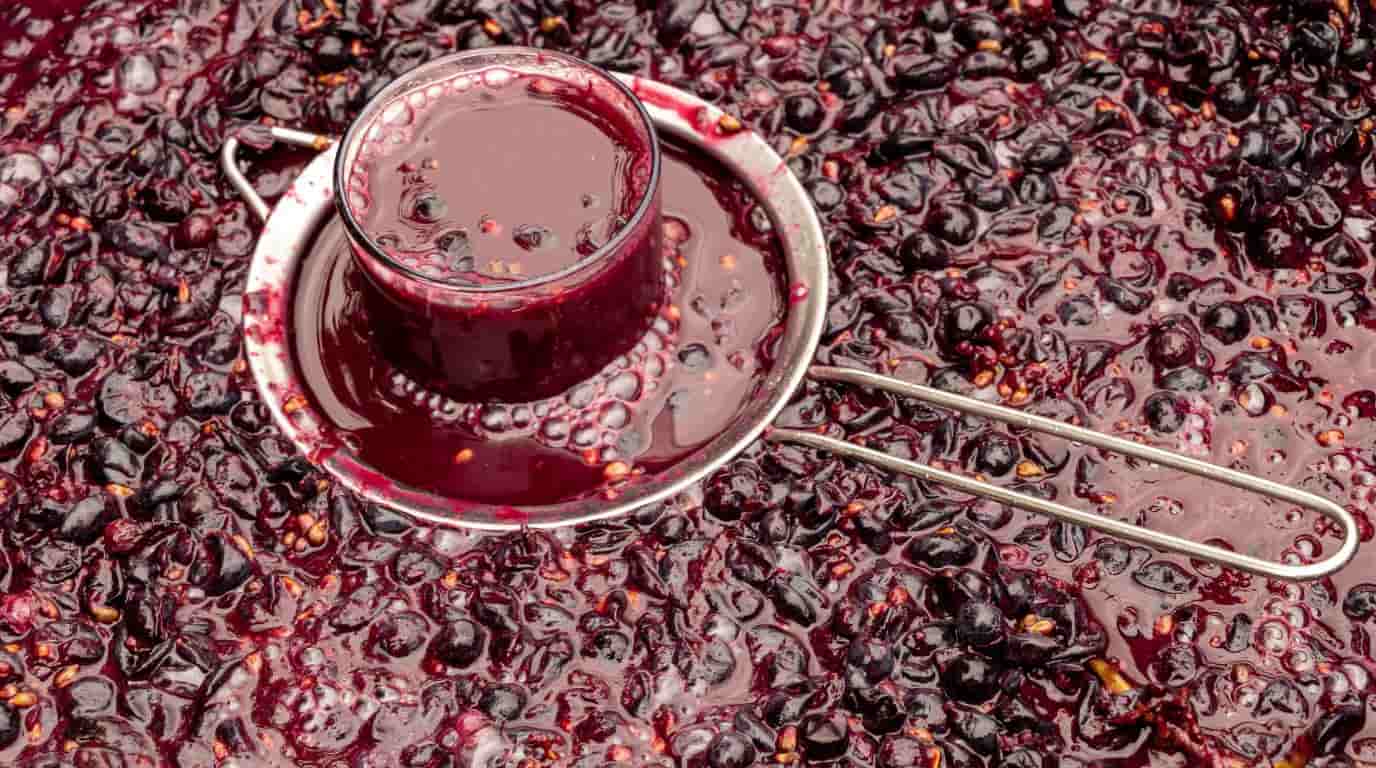 vino en el proceso de fermentando