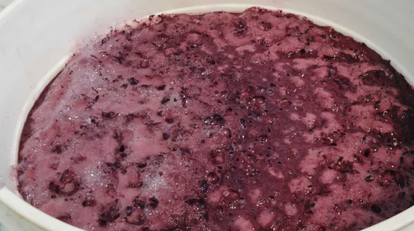 vino fermentando en recipiente