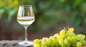elaboracion fases vino blanco