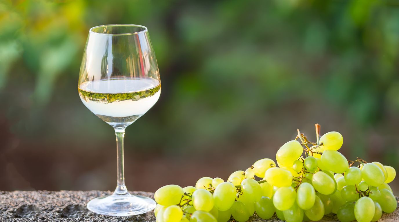 elaboracion fases vino blanco