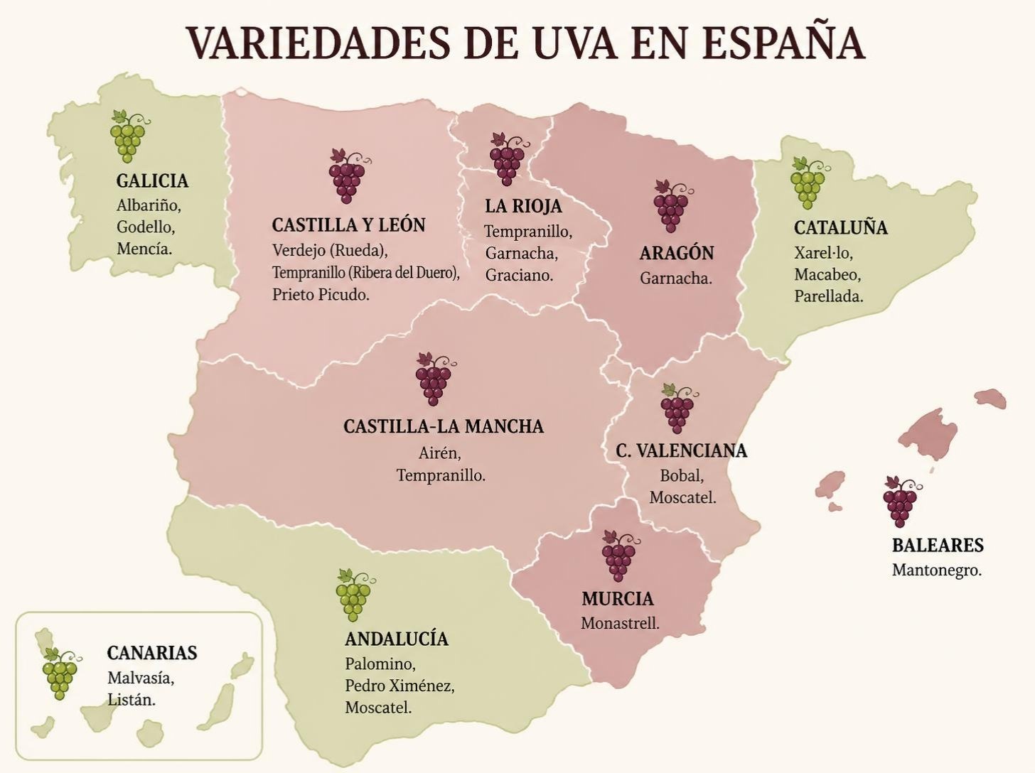 Mapa de variedades de uva en España por regiones vitivinícolas